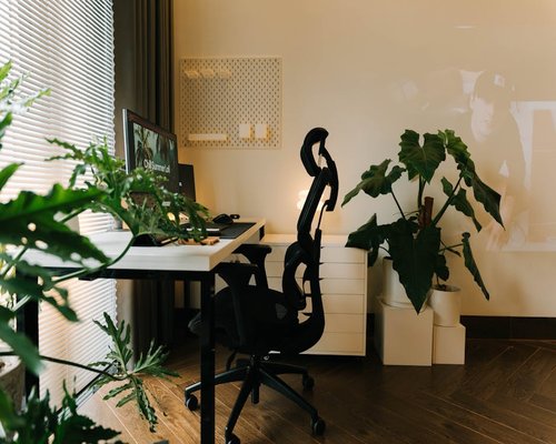 Cozy modern office space interior in Sofia with natural light